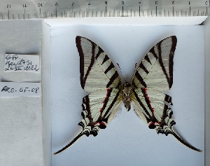  ( - PRO-GF-08)  @11 [ ] CC-by (2023) Mohamed Benmesbah Research Collection of Mohamed Benmesbah