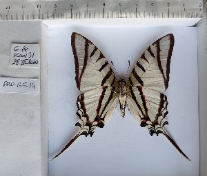  ( - PRO-GF-14)  @11 [ ] CC-by (2023) Mohamed Benmesbah Research Collection of Mohamed Benmesbah