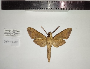  ( - SPH-19-04)  @11 [ ] CC-by (2023) Mohamed Benmesbah Research Collection of Mohamed Benmesbah