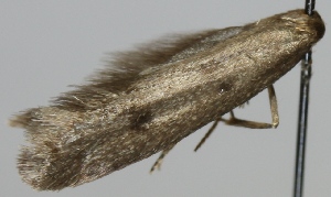  ( - MM00066)  @12 [ ] No Rights Reserved (2011) Marko Mutanen University of Oulu