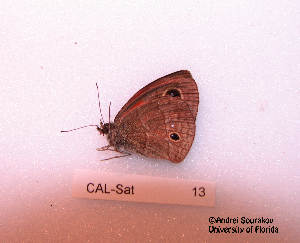  ( - McGuire09-CAL-Sat13)  @12 [ ] Unspecified (default): All Rights Reserved  Unspecified Unspecified