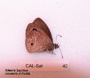  ( - McGuire09-CAL-Sat40)  @12 [ ] Unspecified (default): All Rights Reserved  Unspecified Unspecified