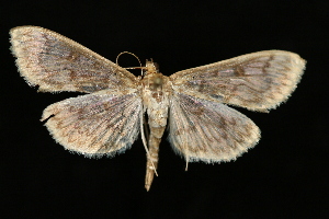  ( - UBC-2006-1937)  @14 [ ] Unspecified (default): All Rights Reserved  Unspecified Unspecified