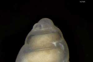  ( - 149781_01)  @11 [ ] Creative Commons BY NC SA (2025) University of Bergen Natural History Collections
