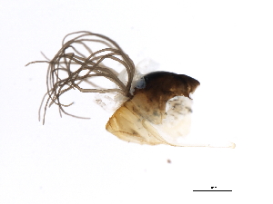  ( - SIM-CANADA-144)  @12 [ ] CreativeCommons - Attribution (2009) CBG Photography Group Centre for Biodiversity Genomics