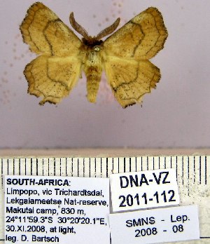  ( - DNA-VZ2011-112)  @12 [ ] Unspecified (default): All Rights Reserved  Unspecified Unspecified