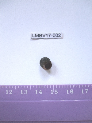  ( - LMBV17-002)  @13 [ ] Unspecified (default): All Rights Reserved  Unspecified Unspecified
