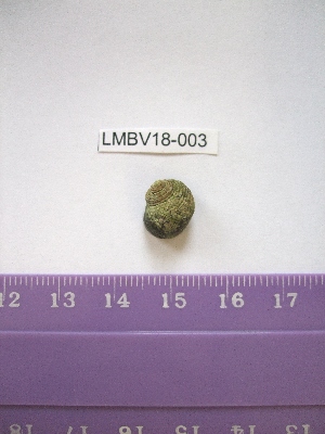  ( - LMBV18-003)  @13 [ ] Unspecified (default): All Rights Reserved  Unspecified Unspecified