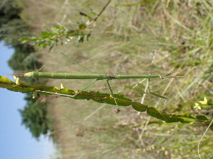  ( - LMO035_2023)  @11 [ ] Unspecified (default): All Rights Reserved  Unspecified Unspecified