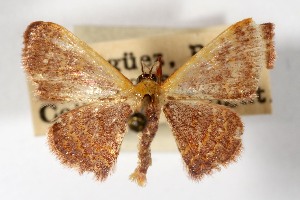  ( - USNM ENT 01920688)  @11 [ ] Unspecified (default): All Rights Reserved  Unspecified Unspecified