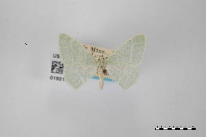  ( - USNM ENT 01921890)  @11 [ ] Unspecified (default): All Rights Reserved  Unspecified Unspecified