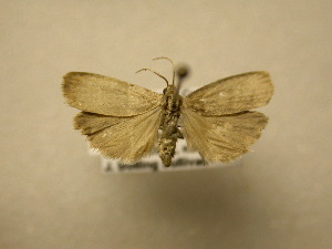  ( - 11-NCCC-434)  @13 [ ] No Rights Reserved (2011) JB Sullivan Research Collection of J. B. Sullivan