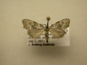  ( - 11-NCCC-645)  @12 [ ] No Rights Reserved (2011) JB Sullivan Research Collection of J. B. Sullivan