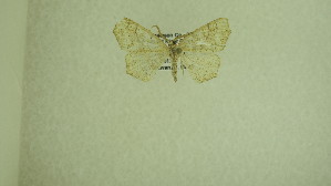  ( - 13-NCCC-104)  @12 [ ] No Rights Reserved (2013) James Sullivan Research Collection of J. B. Sullivan