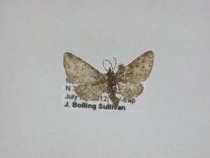  ( - 14-NCCC-100)  @13 [ ] Unspecified (default): All Rights Reserved  Unspecified Unspecified