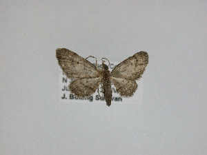  ( - 14-NCCC-101)  @13 [ ] Unspecified (default): All Rights Reserved  Unspecified Unspecified