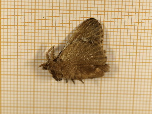  ( - CLV4150)  @12 [ ] Copyright (2012) Olivier Bouteleux Unspecified