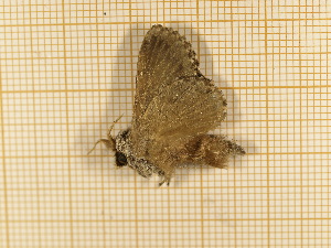  ( - CLV4185)  @12 [ ] Copyright (2012) Olivier Bouteleux Unspecified