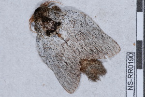  ( - NS-RR0190)  @12 [ ] Copyright (2011) Rodolphe Rougerie University de Rouen