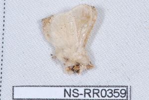  ( - NS-RR0359)  @12 [ ] Copyright (2011) Rodolphe Rougerie University de Rouen