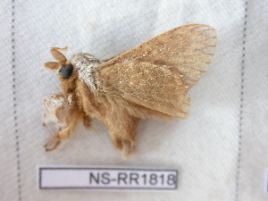  ( - NS-RR1818)  @12 [ ] Copyright (2011) Rodolphe Rougerie University de Rouen