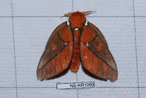  ( - NS-RR1069)  @11 [ ] Copyright (2011) Rodolphe Rougerie University de Rouen