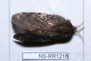  ( - NS-RR1218)  @12 [ ] Copyright (2011) Rodolphe Rougerie University de Rouen