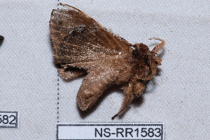  ( - NS-RR1583)  @13 [ ] Copyright (2011) Rodolphe Rougerie University de Rouen