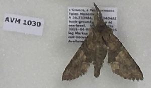  ( - AVM1030)  @11 [ ] CreativeCommons - Attribution Non-Commercial Share-Alike (2018) Markus Franzen Linnaeus university