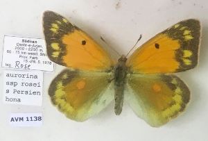  ( - AVM1138)  @11 [ ] CreativeCommons - Attribution Non-Commercial Share-Alike (2018) Markus Franzen Linnaeus university