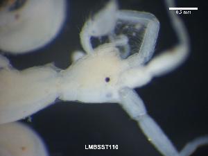 ( - LMBSST10-004)  @12 [ ] Unspecified (default): All Rights Reserved (2012) Unspecified Unspecified