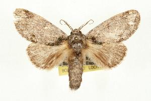  ( - 06-CRBS-0192)  @14 [ ] CreativeCommons - Attribution (2010) CBG Photography Group Centre for Biodiversity Genomics