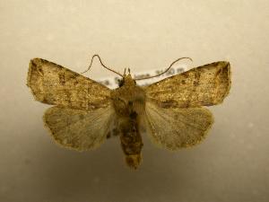  ( - 07-CRBS-993)  @13 [ ] Unspecified (default): All Rights Reserved  Unspecified Unspecified