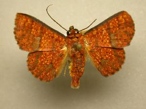  ( - 08-CRBS-002)  @13 [ ] Unspecified (default): All Rights Reserved  Unspecified Unspecified