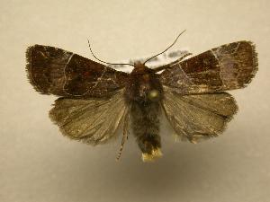  ( - 07-CRBS-1104)  @14 [ ] Unspecified (default): All Rights Reserved  Unspecified Unspecified