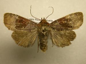  ( - 07-CRBS-1105)  @14 [ ] Unspecified (default): All Rights Reserved  Unspecified Unspecified