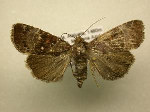  ( - 07-CRBS-1108)  @14 [ ] Unspecified (default): All Rights Reserved  Unspecified Unspecified