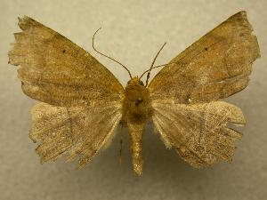  ( - 07-CRBS-1204)  @13 [ ] Unspecified (default): All Rights Reserved  Unspecified Unspecified