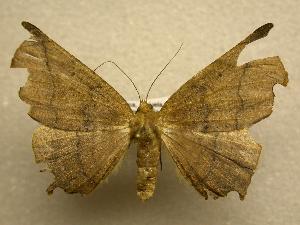  ( - 07-CRBS-1205)  @13 [ ] Unspecified (default): All Rights Reserved  Unspecified Unspecified