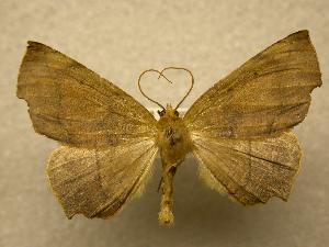  ( - 07-CRBS-1207)  @13 [ ] Unspecified (default): All Rights Reserved  Unspecified Unspecified