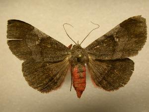  ( - 08-CRBS-299)  @13 [ ] Unspecified (default): All Rights Reserved  Unspecified Unspecified