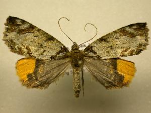  ( - 08-CRBS-347)  @13 [ ] Unspecified (default): All Rights Reserved  Unspecified Unspecified