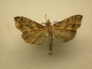  ( - 08-CRBS-433)  @13 [ ] Unspecified (default): All Rights Reserved  Unspecified Unspecified