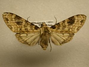  ( - 08-CRBS-641)  @12 [ ] Unspecified (default): All Rights Reserved  Unspecified Unspecified
