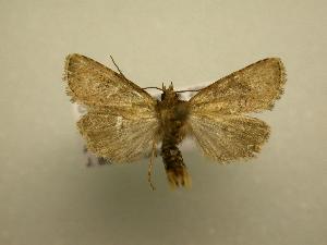  ( - 08-CRBS-716)  @13 [ ] Unspecified (default): All Rights Reserved  Unspecified Unspecified