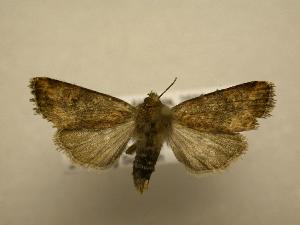  ( - 08-CRBS-721)  @13 [ ] Unspecified (default): All Rights Reserved  Unspecified Unspecified