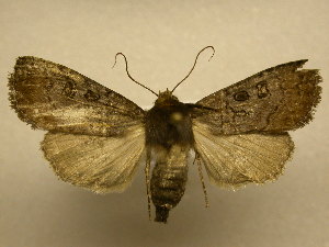 ( - 08-CRBS-892)  @14 [ ] Unspecified (default): All Rights Reserved  Unspecified Unspecified