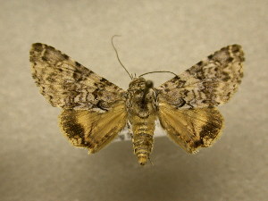  ( - 08-CRBS-970)  @14 [ ] Unspecified (default): All Rights Reserved  Unspecified Unspecified