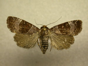  ( - 08-CRBS-982)  @14 [ ] Unspecified (default): All Rights Reserved  Unspecified Unspecified