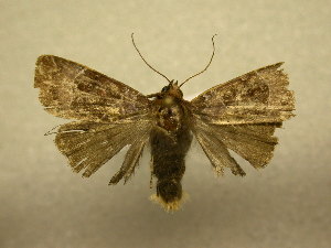  ( - 08-CRBS-983)  @14 [ ] Unspecified (default): All Rights Reserved  Unspecified Unspecified